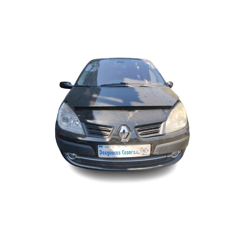 RENAULT GRAND SCÉNIC II (JM0/1_) - imagen 1
