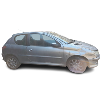 PEUGEOT 206 HATCHBACK (2A/C)