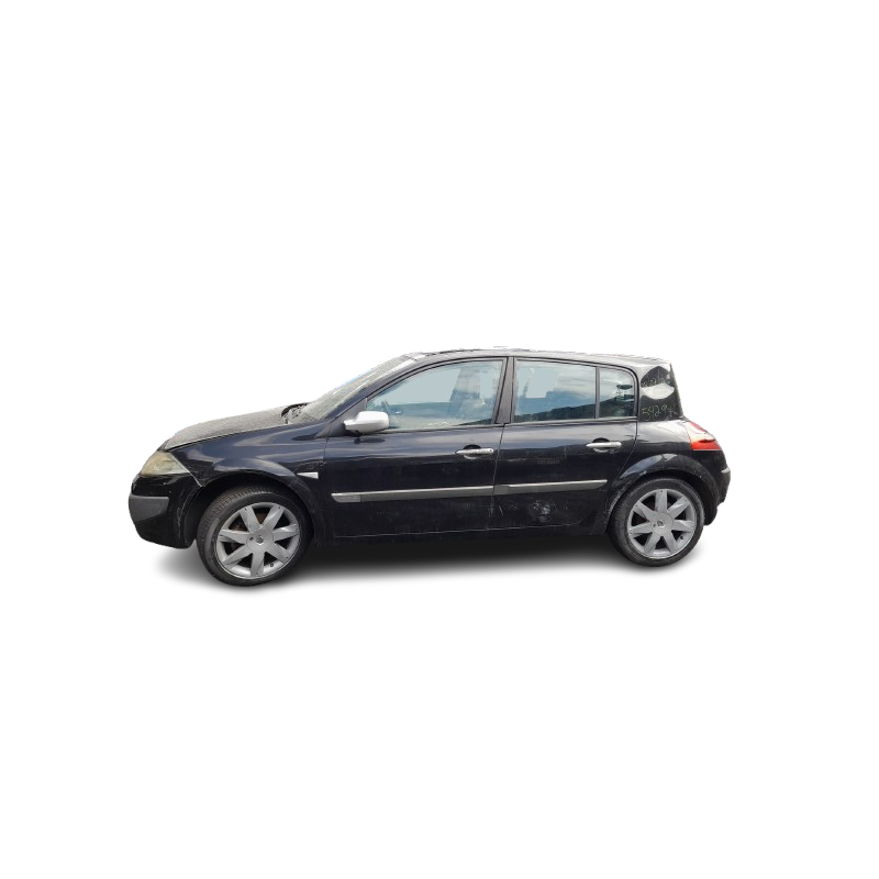 RENAULT MEGANE II (BM0/1_, CM0/1_) - imagen 1