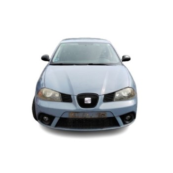 SEAT IBIZA III (6L1)