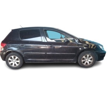 PEUGEOT 307 (S1)