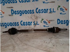 Recambio de transmision delantera derecha para citroën c2 empresa referencia OEM IAM   