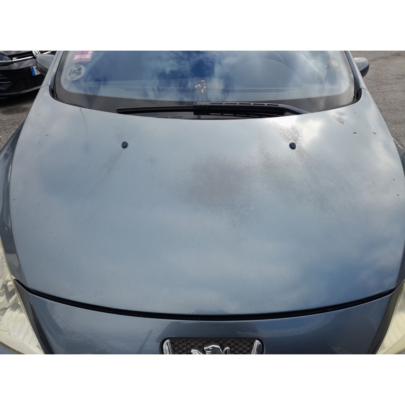 CAPOT DELANTERO 7901L9 