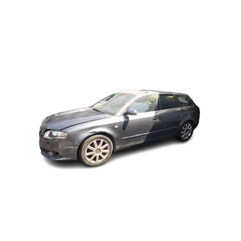 AUDI A4 B7 AVANT (8ED) - imagen 1