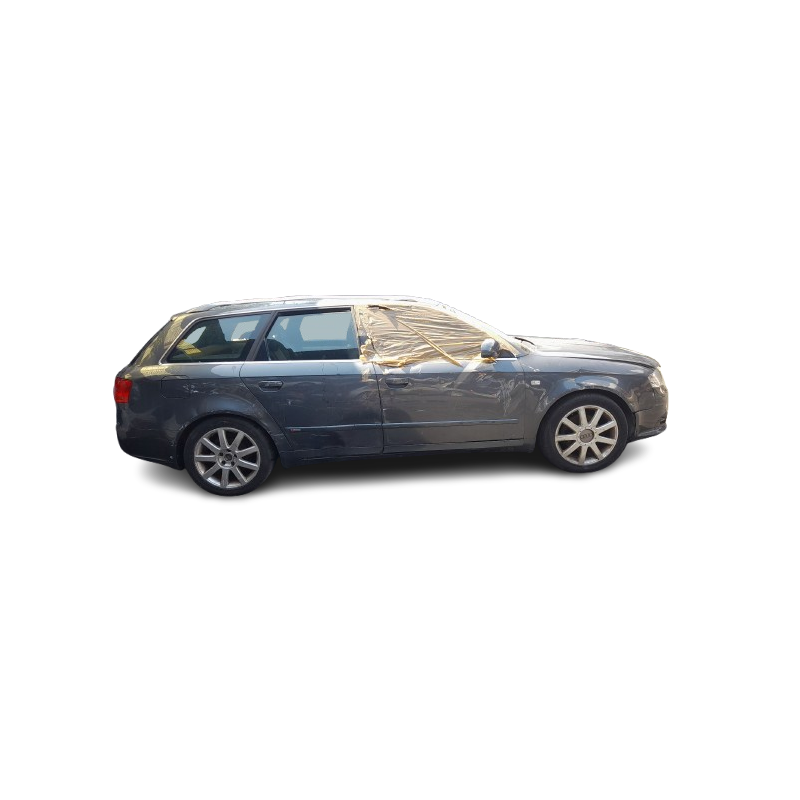 AUDI A4 B7 AVANT (8ED) - imagen 5