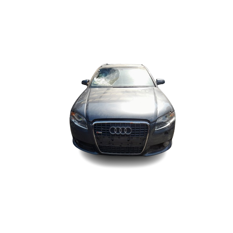AUDI A4 B7 AVANT (8ED) - imagen 6