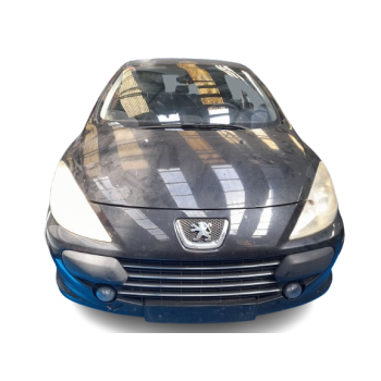 PEUGEOT 307 (3A/C)