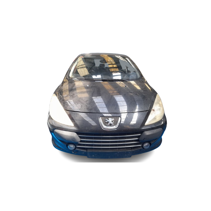 PEUGEOT 307 (3A/C) - imagen 1