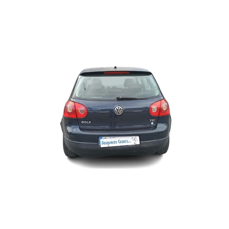 VOLKSWAGEN GOLF PLUS V (5M1, 521) - imagen 2