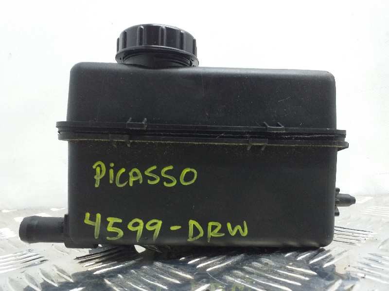Recambio de deposito servo para citroën xsara picasso 1.6 hdi 110 exclusive referencia OEM IAM 4009R2  