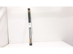 Recambio de amortiguadores maletero / porton para peugeot 1007 dolce referencia OEM IAM   