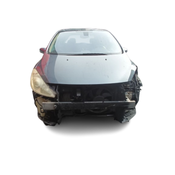PEUGEOT 307 (3A/C)