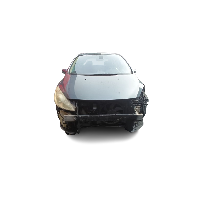PEUGEOT 307 (3A/C) - imagen 1