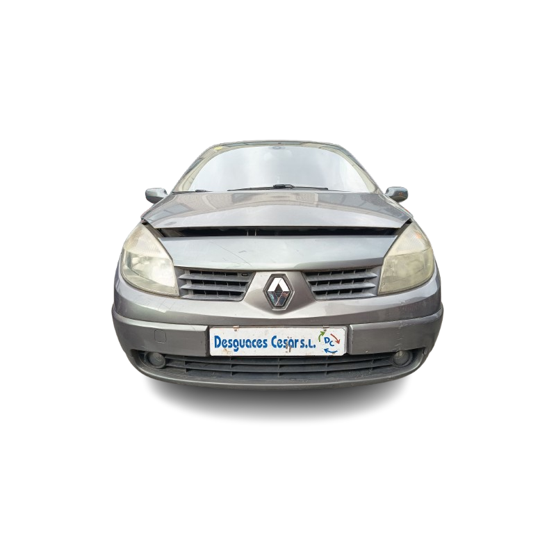 RENAULT SCÉNIC II (JM0/1_) - imagen 2