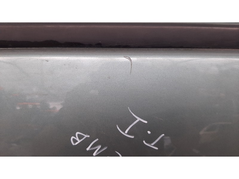 Recambio de puerta trasera izquierda para renault scenic ii authentique referencia OEM IAM  VERDE 