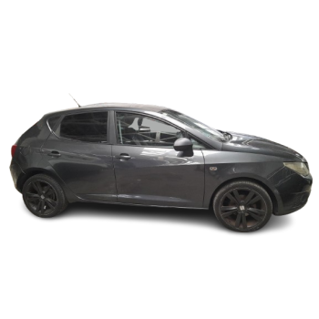 SEAT IBIZA III (6L1)