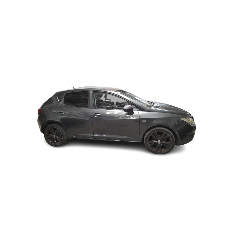 SEAT IBIZA III (6L1) - imagen 1