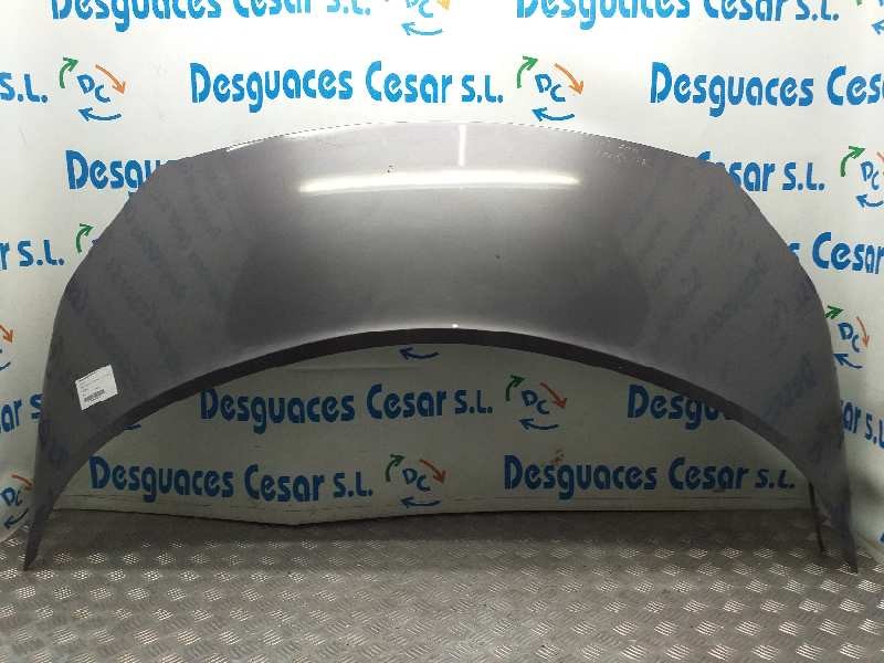 Recambio de capot para renault scenic ii 1.5 dci diesel referencia OEM IAM  GRIS 