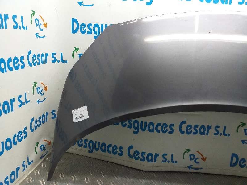 Recambio de capot para renault scenic ii 1.5 dci diesel referencia OEM IAM  GRIS 