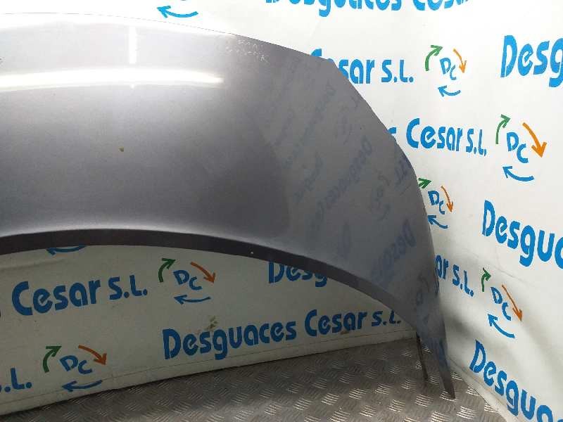 Recambio de capot para renault scenic ii 1.5 dci diesel referencia OEM IAM  GRIS 
