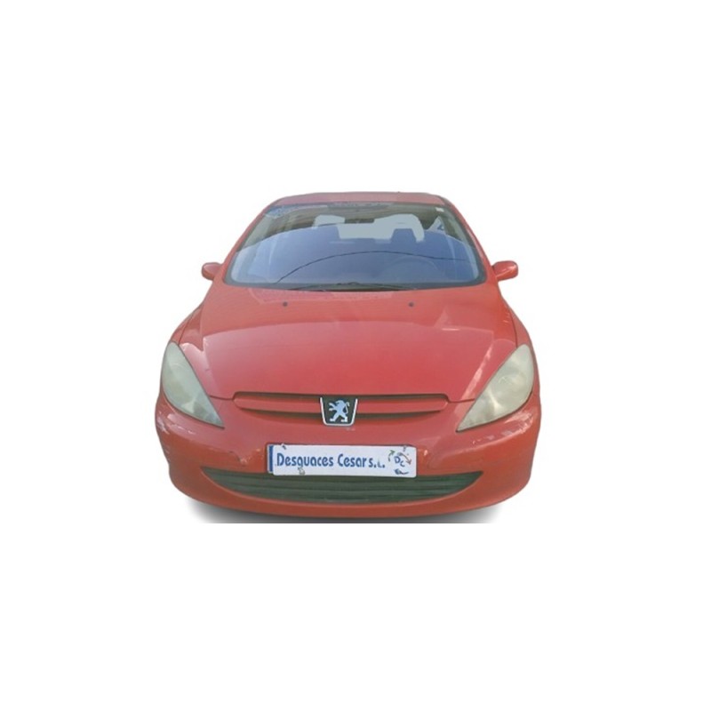 PEUGEOT 307 (S1) - imagen 1