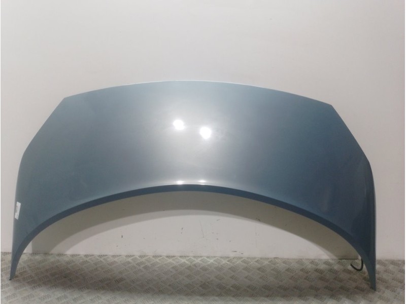 Recambio de capot para renault scenic ii confort authentique referencia OEM IAM  GRIS 