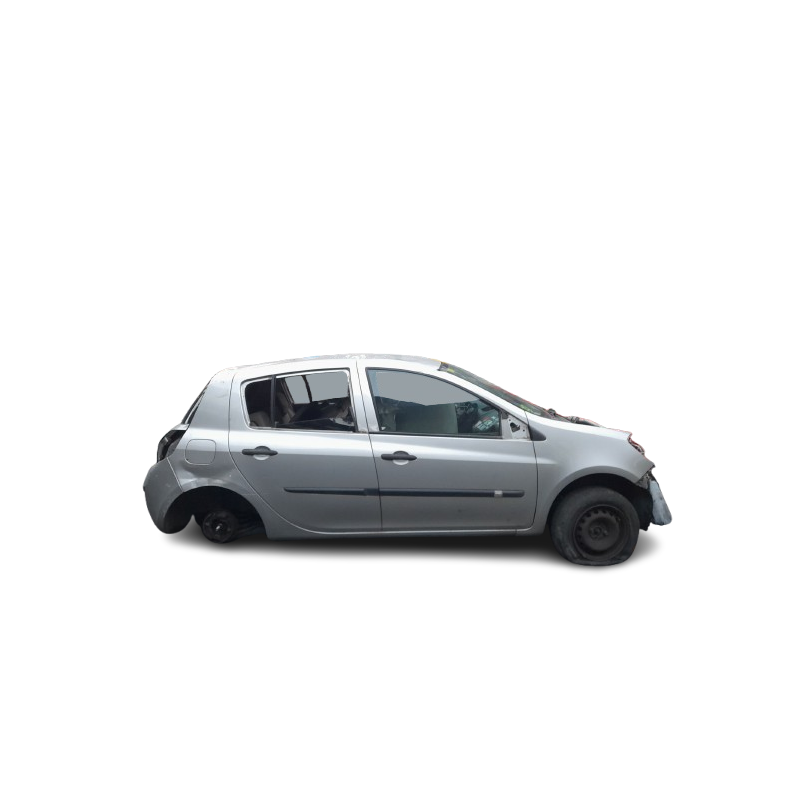 RENAULT CLIO III (BR0/1, CR0/1) - imagen 1