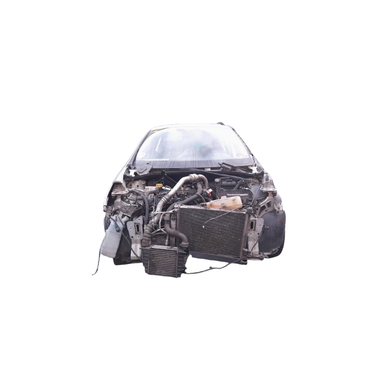 RENAULT CLIO III (BR0/1, CR0/1) - imagen 6