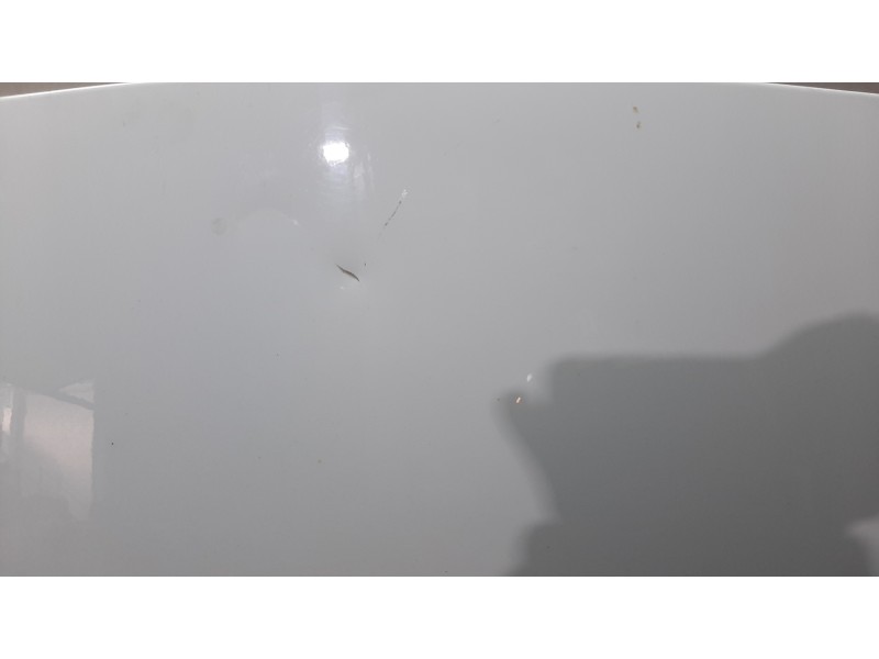 Recambio de capot para renault scenic ii confort authentique referencia OEM IAM 651001097R BLANCO 