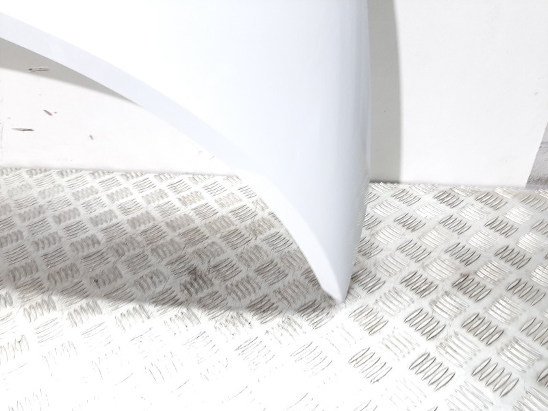 Recambio de capot para renault scenic ii confort authentique referencia OEM IAM 651001097R BLANCO 