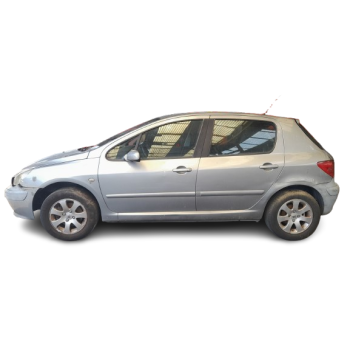 PEUGEOT 307 (3A/C)
