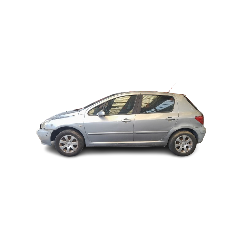PEUGEOT 307 (3A/C) - imagen 1
