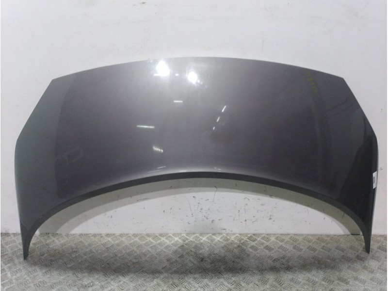 Recambio de capot para renault scenic ii confort dynamique referencia OEM IAM  GRIS 