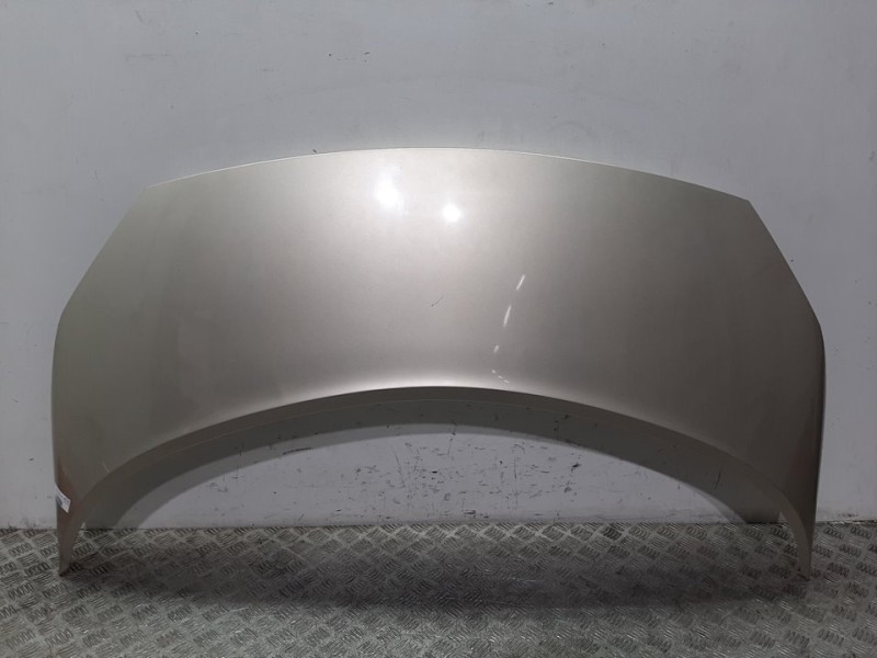 Recambio de capot para renault scenic ii confort authentique referencia OEM IAM 651001097R ORO 