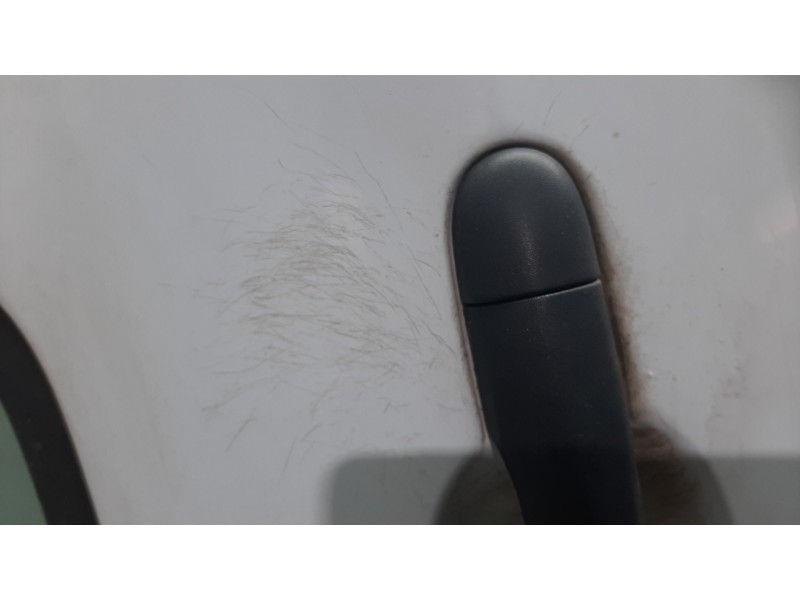 Recambio de puerta trasera izquierda para renault clio iii authentique referencia OEM IAM  BLANCO 