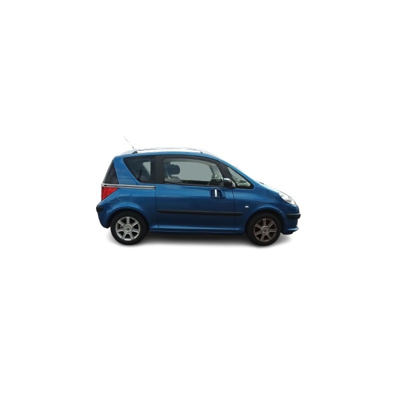 PEUGEOT 1007 (KM_) - imagen 6