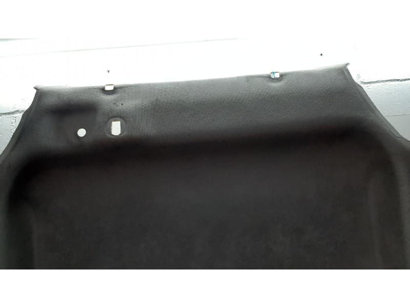 Recambio de techo interior para renault clio iii authentique referencia OEM IAM   