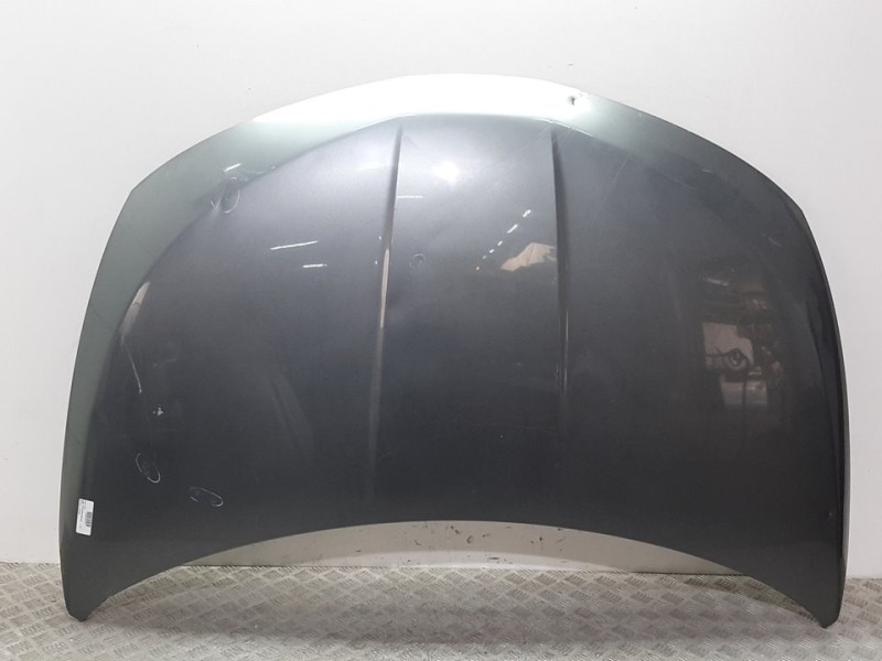 Recambio de capot para nissan murano (z50) básico referencia OEM IAM F5100CA0MM GRIS 