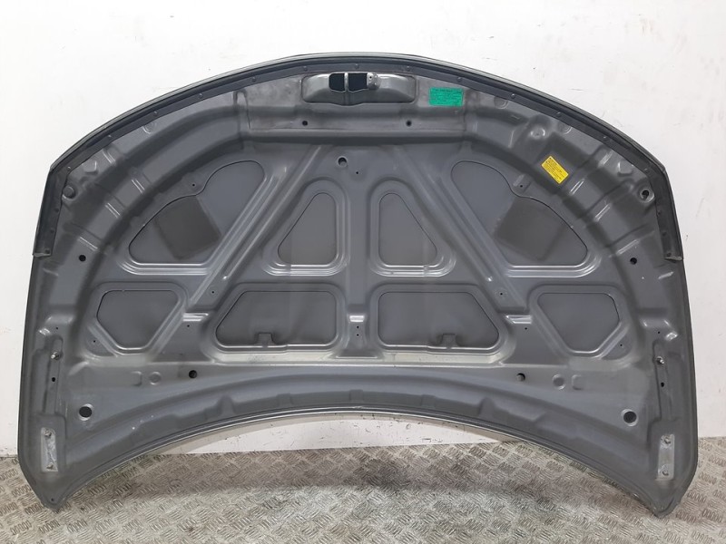 Recambio de capot para nissan murano (z50) básico referencia OEM IAM F5100CA0MM GRIS 