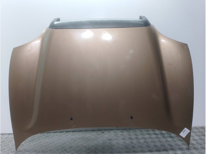 Recambio de capot para hyundai santa fe (sm) 2.4 gls referencia OEM IAM  CHAMPAGNE 