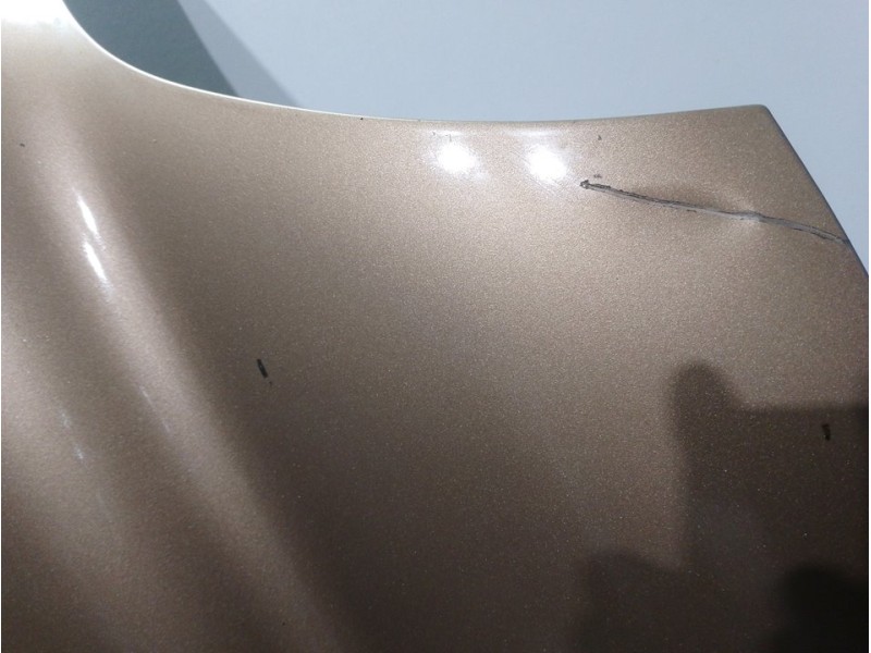 Recambio de capot para hyundai santa fe (sm) 2.4 gls referencia OEM IAM  CHAMPAGNE 