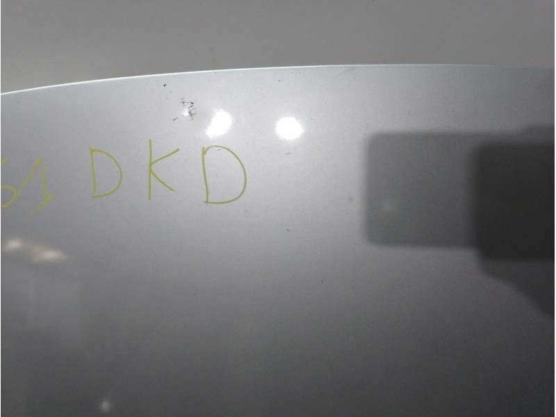 Recambio de capot para renault scenic ii exception referencia OEM IAM 651001097R PLATA 