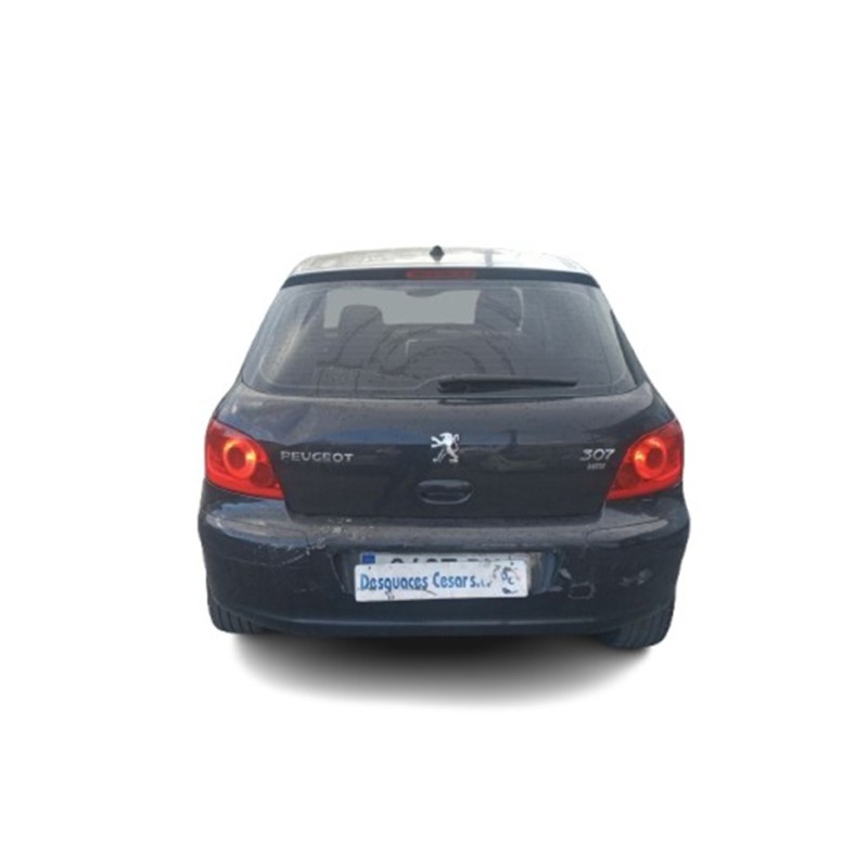 PEUGEOT 307 (3A/C) - imagen 1