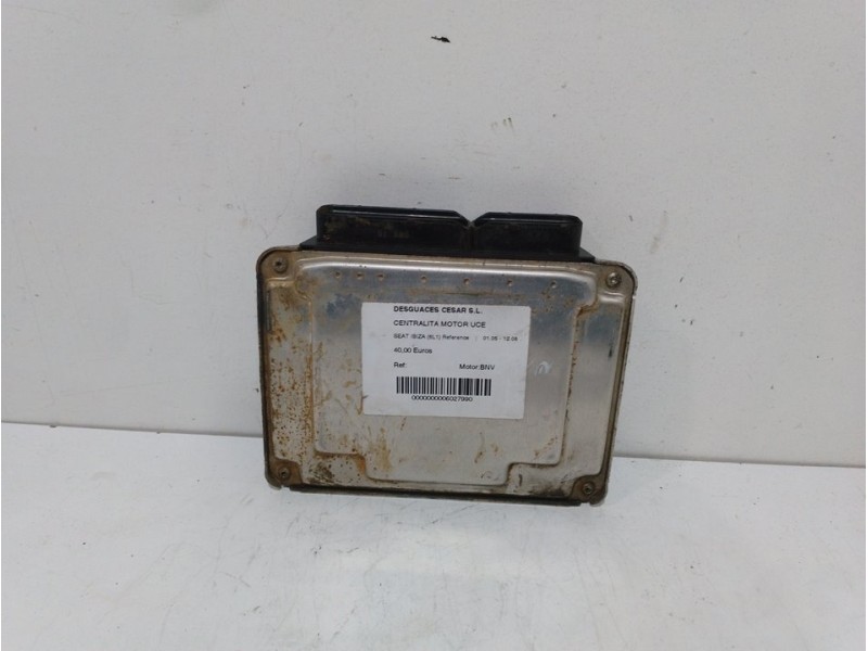 Recambio de centralita motor uce para seat ibiza (6l1) reference referencia OEM IAM 045906019BQ  