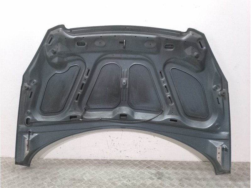 Recambio de capot para peugeot 307 cc (s1) 1.6 referencia OEM IAM 7901J0 GRIS 