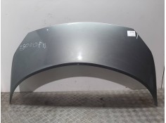 Recambio de capot para renault scenic ii confort dynamique referencia OEM IAM 651001097R VERDE