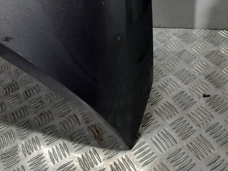 Recambio de capot para renault scenic ii confort dynamique referencia OEM IAM 651001097R VERDE 