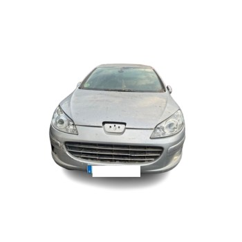 PEUGEOT 407 (6D_)