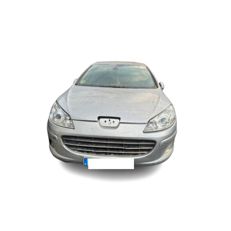 PEUGEOT 407 (6D_) - imagen 1