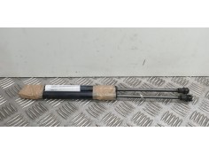 Recambio de amortiguadores maletero / porton para bmw serie 1 berlina (e81/e87) 120d referencia OEM IAM 51247060622
